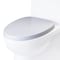 Eago EAGO R-359SEAT Replacement Soft Closing Toilet Seat for TB359 R-359SEAT - alternate 1